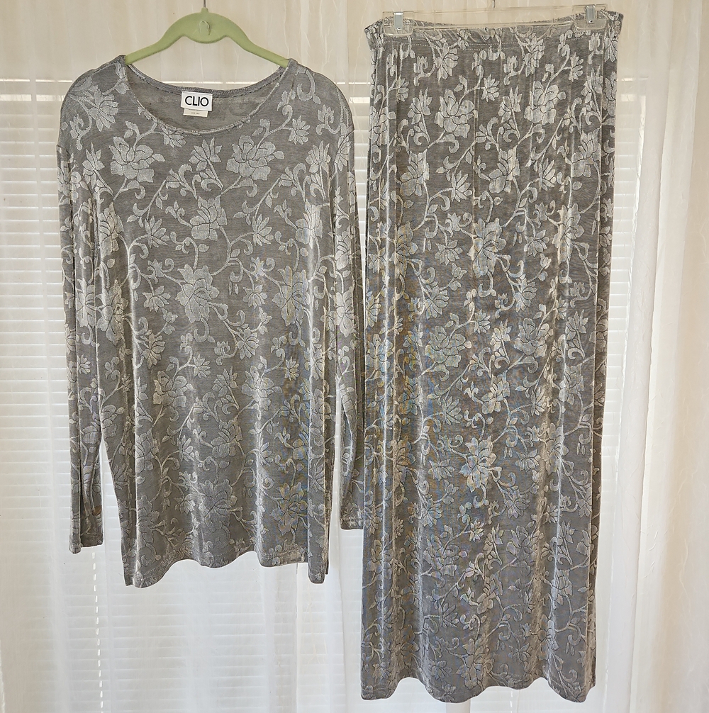 Clio Silver-Gray Floral Velvet Maxi Skirt w/ Top Set